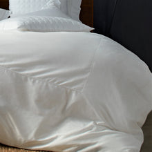 Load image into Gallery viewer, The Whole Shebang